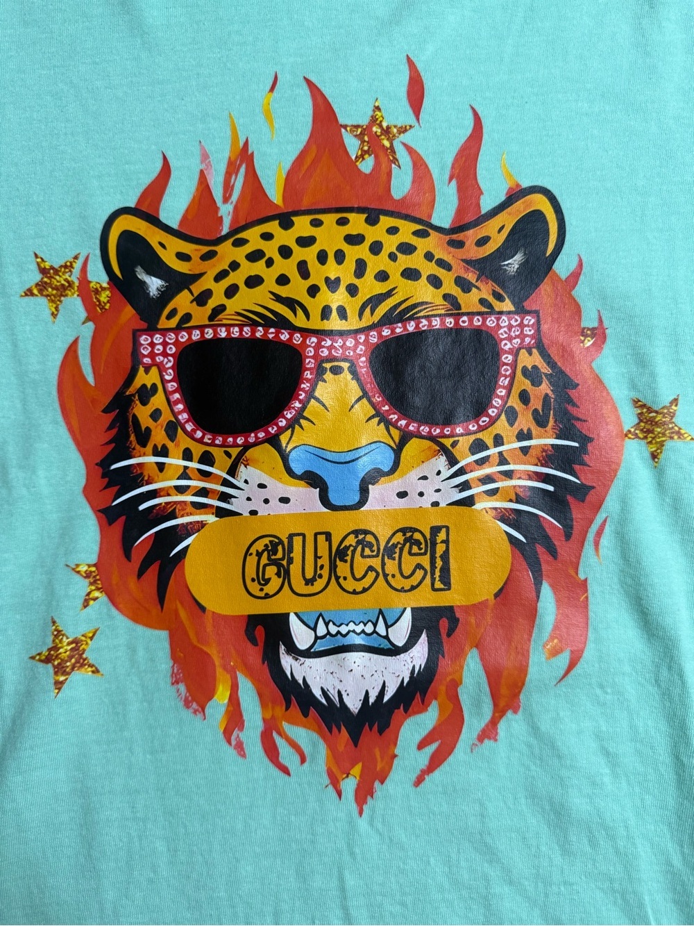 Comfort Colors Mint Green Short Sleeve Tee with Flaming Leopard Graphic - Picture 4 of 6